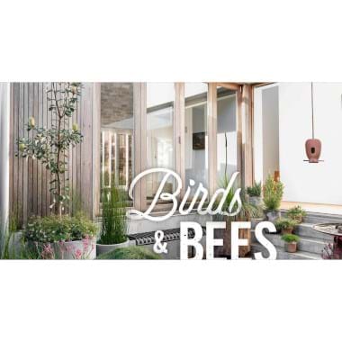 Birds and Bees | Plant Packages