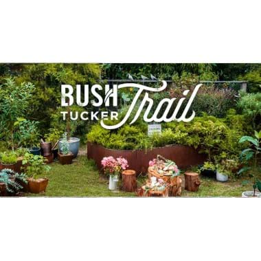 A Bush Tucker Trail | Plant Packages