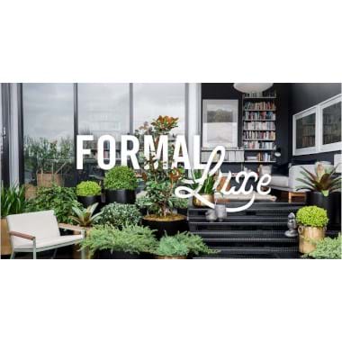 A Formal Luxe | Plant Packages